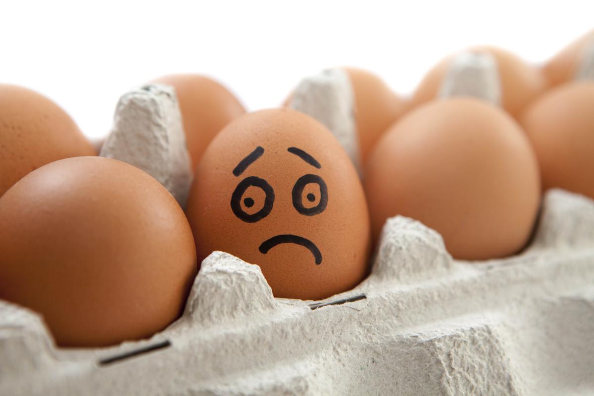 photo gaspillage alimentaire