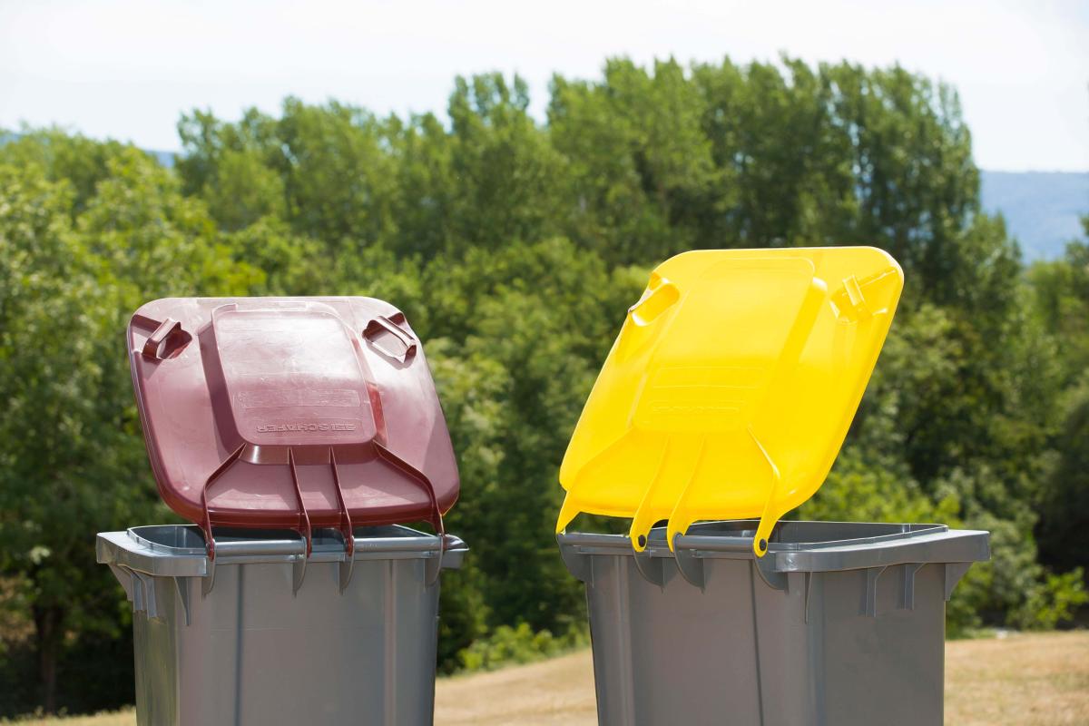 photo bacs de collecte 