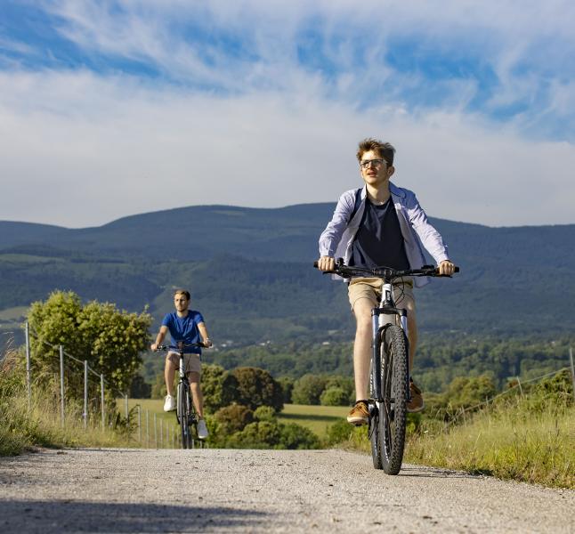 Vélo électrique