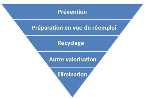 triangle PLPDMA
