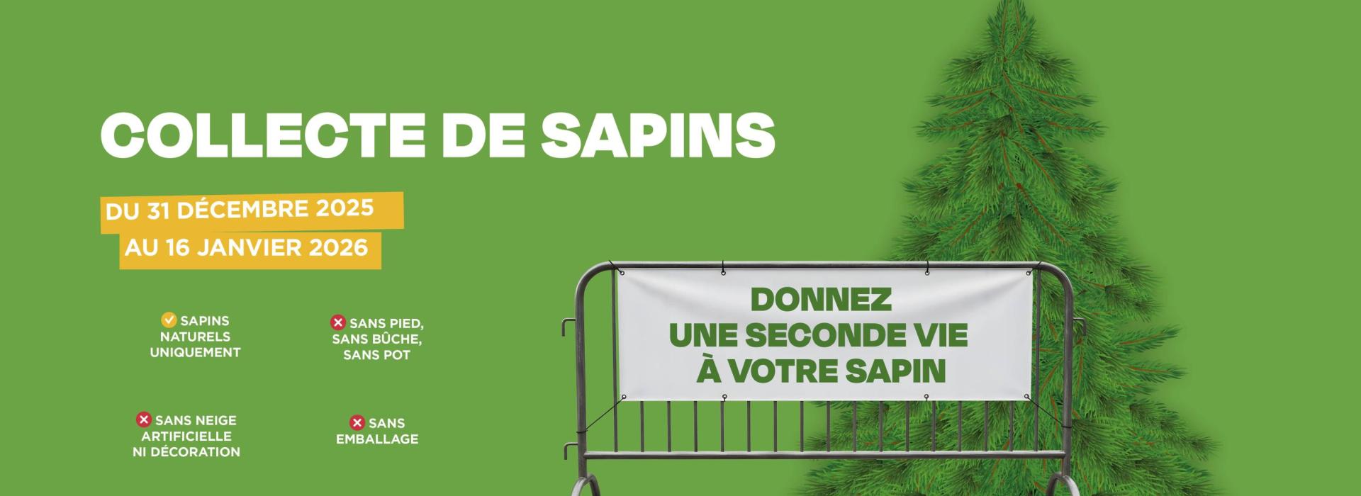 Collecte sapins